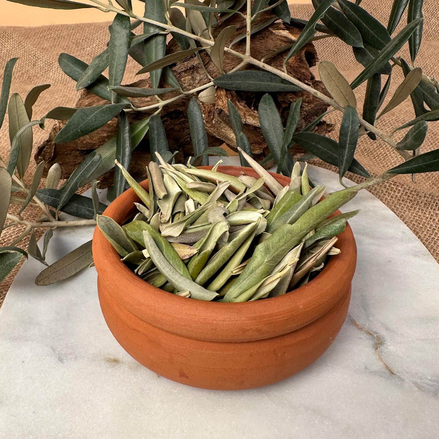 Yabani Delice Zeytin Yaprağı - 1